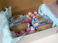 Double Dumpling Box