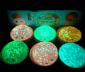 Mystery Glow-n-the Dark Orbeez