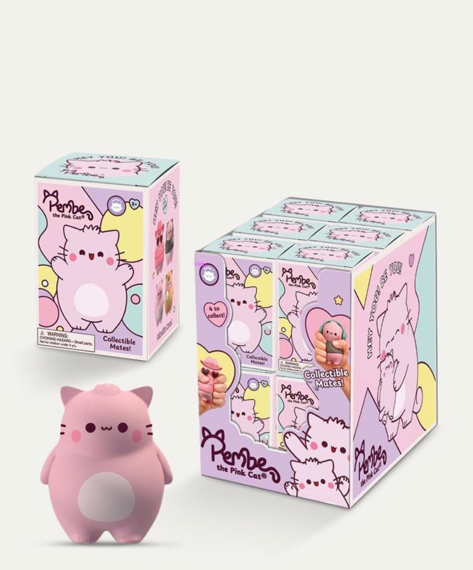 Pembe Foamate 3.5" Blind Box Figure